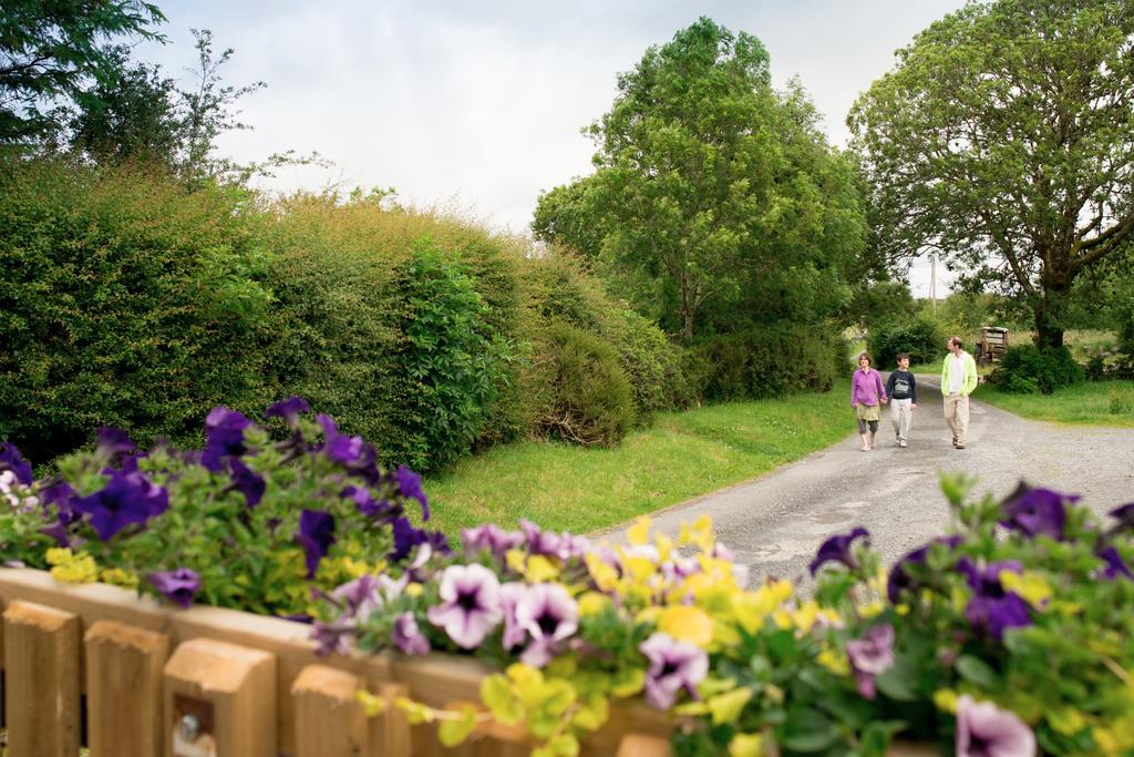 Burren Glamping Villa Kilfenora Exterior photo